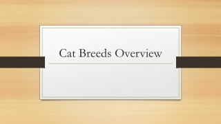 catswikipedia