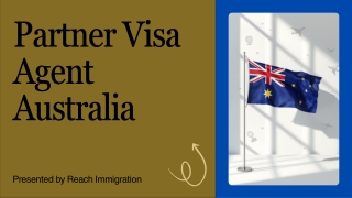 Partner Visa Agent Australia – Expert Guidance for a Stronger Visa Outcome