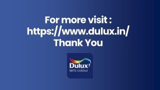 What’s Inside a Dulux Colour Paint Tin