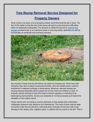 Tree Stump Removal Service Designed for  Property Owners