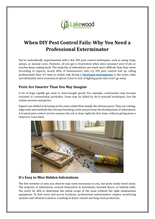 When DIY Pest Control Fails: Why You Need a Professional Exterminator