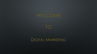 Digital Marketing Executive