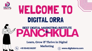 Best Digital Marketing Institute In Panchkula