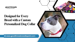 Modern Pet Fashion Through a Custom Personalized Dog Collar