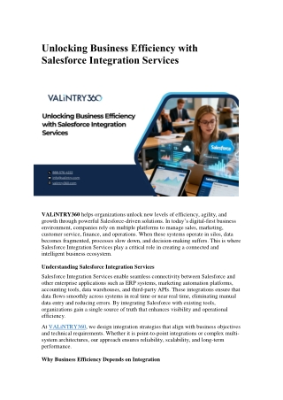 Unlocking Business Efficiency with Salesforce Integration Services