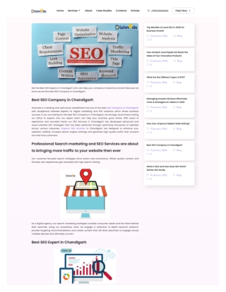 Best SEO Company in Chandigarh