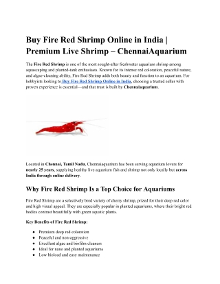 Buy Fire Red Shrimp Online in India | Premium Live Shrimp – ChennaiAquarium
