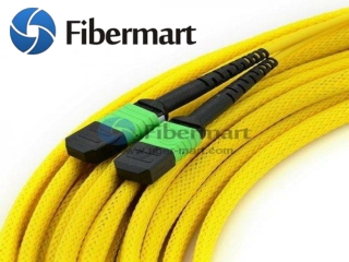 MTP Fiber Cable || Fiber Amplifier