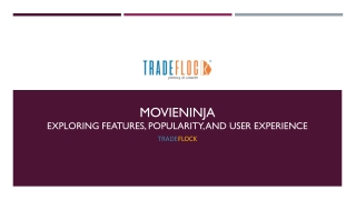 Movieninja – Online Movie Entertainment Platform Overview
