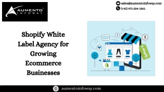 Shopify White Label Agency for Growing Ecommerce Businesses