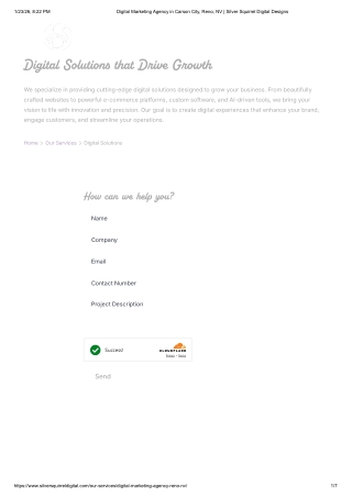 Digital Marketing Agency in Carson City, Reno, NV _ Silver Squirrel Digital Designs