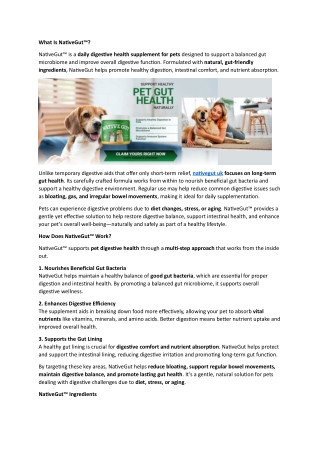 NativeGut – Natural Gut Health Supplement for Digestive Balance & Wellness