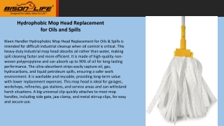 Hydrophobic Mop Head Replacement for Oils and Spills