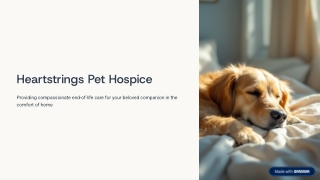 Heartfelt-Support-for-Families-During-Pet-Farewell-Moments