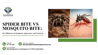 Identifying Spider and Mosquito Bites for Proper Treatment