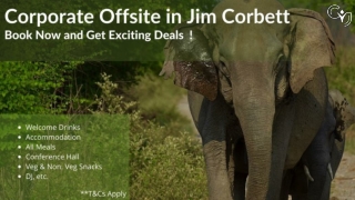 Corporate Outing in Jim Corbett for Team Bonding & Engagement