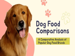 A Comparative Analysis of Popular Dog Food Brands.ppt