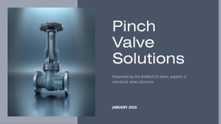 Enclosed Body Pinch Valve for Controlled Flow | RhinoflexValves.in