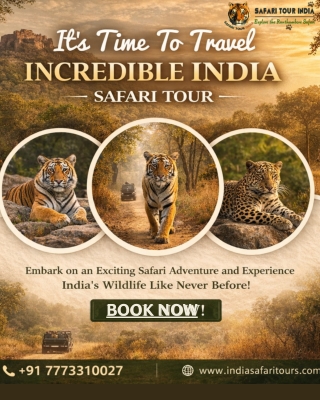 Book Wildlife & Tiger Safari in Ranthambor Sawai Madhopur