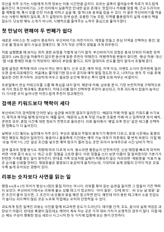 부산비비기 신규 사용자 환영 가이드