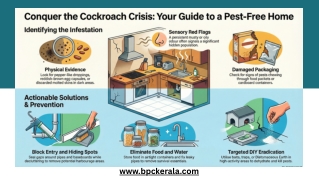 Conquer the Cockroach Crisis: Your Guide to a Pest-Free Home