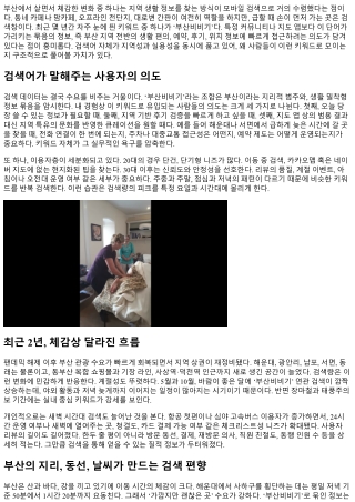 부산비비기 검색어 트렌드로 보는 요즘 인기