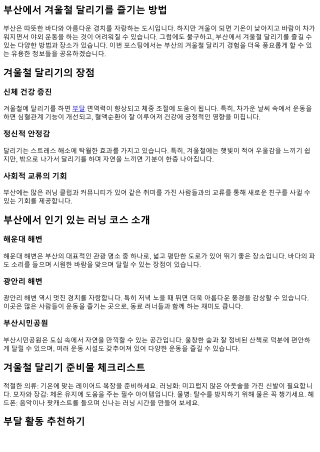 부산에서 겨울철 달리기를 즐기는 방법