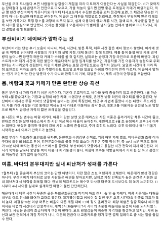 부산비비기 데이터로 보는 계절별 인기 포인트