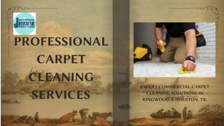 Professional Carpet Cleaning Services