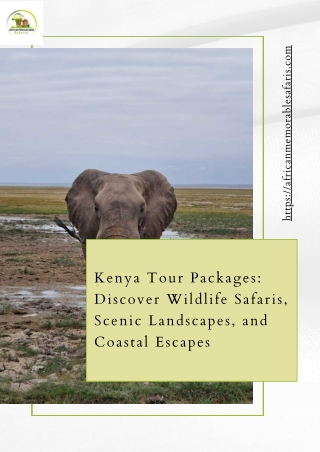 Kenya Tour Packages for Wildlife Lovers: Experience Africa’s Iconic Big Five