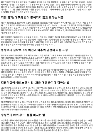 대밤 핫플 완전정복: 대구의 밤 문화를 제대로 즐기는 법