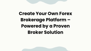 Forex Broker Solution Provider | Hashcodex