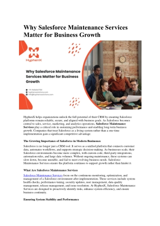 Why Salesforce Maintenance Services Matter for Business Growth
