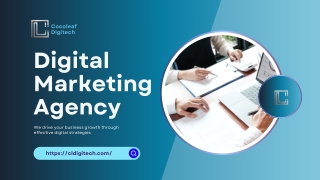 Digital Marketing Services for Business Growth | Cocoleaf Digitech
