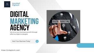 Digital Marketing Services for Business Growth | Cocoleaf Digitech