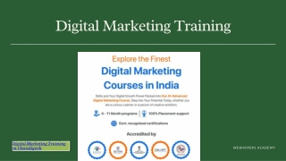 Advanced Digital Marketing Training in Chandigarh for Career Growth