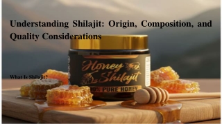 Understanding Shilajit_ Origin, Composition, and Quality Considerations