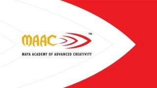 Animation, VFX, Graphic Designing & Video Editing Institute in Bathinda