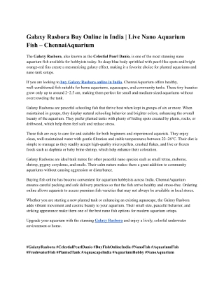 Galaxy Rasbora Buy Online in India | Live Nano Aquarium Fish – ChennaiAquarium
