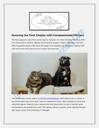 Honoring the Final Chapter with Compassionate Pet Care