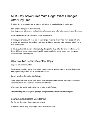 Multi-Day Adventures With Dogs_ What Changes After Day One