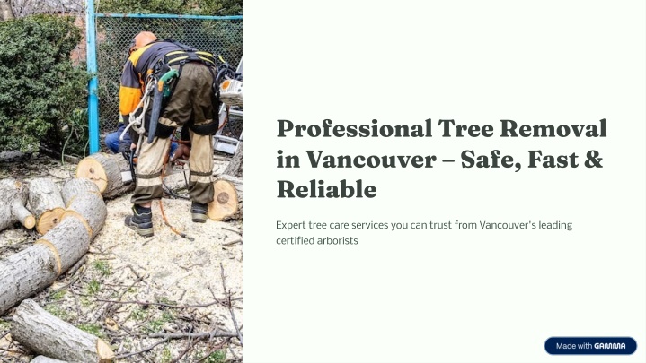 PPT - Professional Tree Removal in Vancouver – Safe, Fast & Reliable ...
