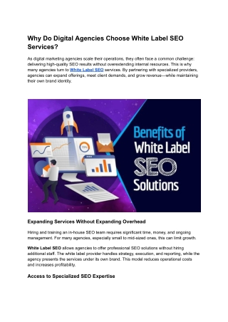 White Label SEO (1)
