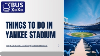 Things To Do In Yankee Stadium