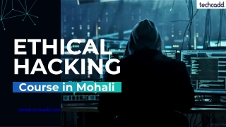 Best Ethical Hacking Course in Mohali | CEH Training Chandigarh - techcadd