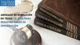 Abogado de Migración en Texas Tu Guía para Resolver Casos de Inmigración