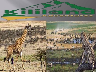 8 Days Safari in Tanzania