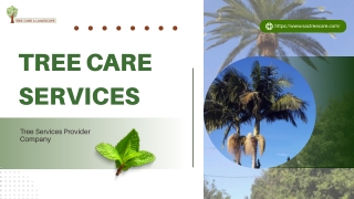 Tree Service in Sacramento - Sactreecare.com
