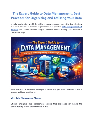 The Expert Guide to Data Management: Organizing and Utilizing Your Data