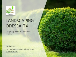 Landscaping Odessa Tx - BTL Odessa